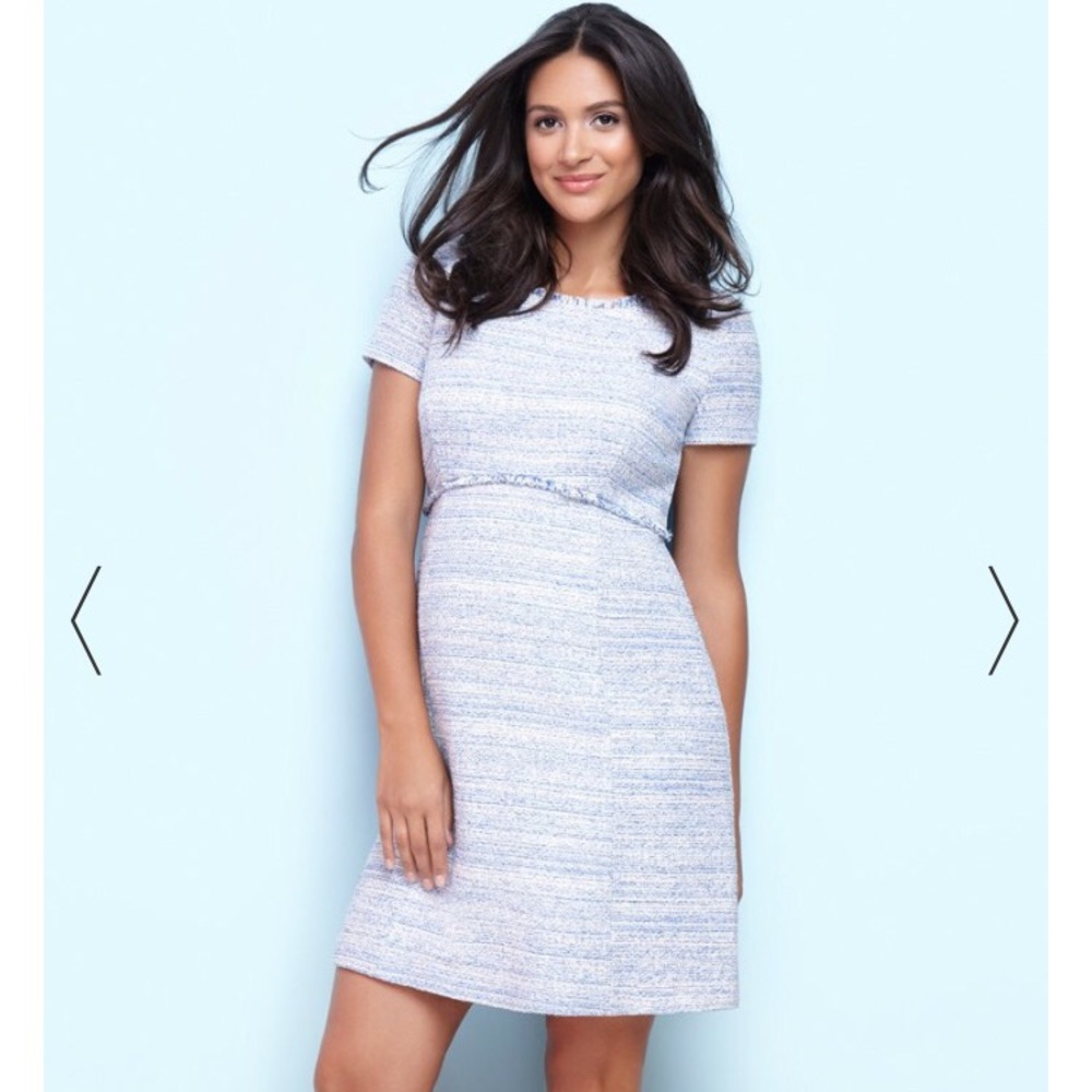 Seraphine maternity dress
